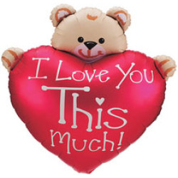 I Love You This much! 小熊